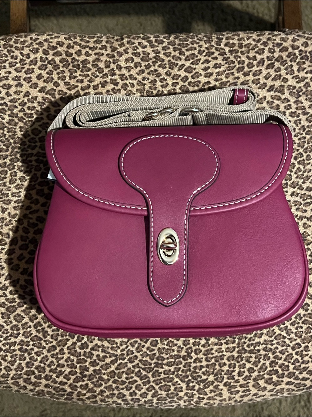 Dooney & Bourke Fuchsia Crossbody Bag NWT